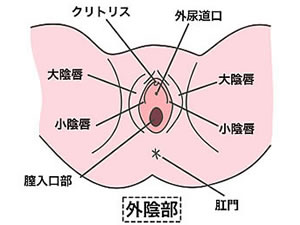 まんこ（）